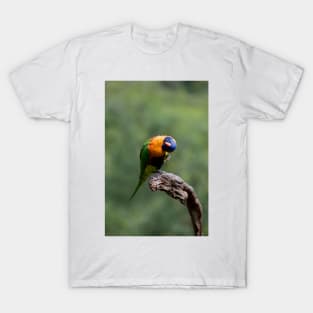 Upside Down Lorikeet T-Shirt